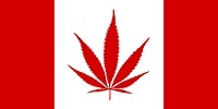 modified Canada marijuana flag